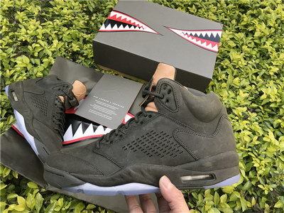 Air Jordan 5 Take Flight