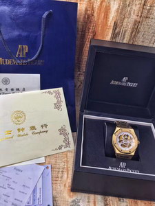 AP Mechanical Watch-021