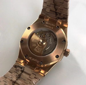 AP Mechanical Watch-029