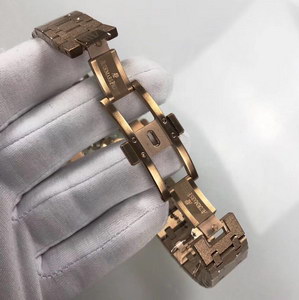 AP Mechanical Watch-028