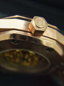 AP Mechanical Watch-031