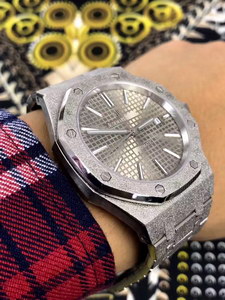 AP Mechanical Watch-026