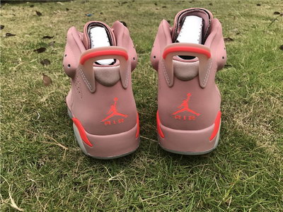 Air Jordan 6s Pink