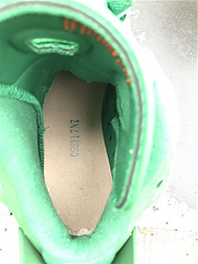 Air Jordan 6 “Gatorade”