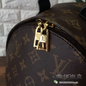 LV Backpack(AAA)-004