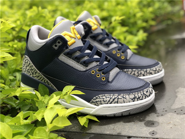 Air Jordan 3 Michigan PE
