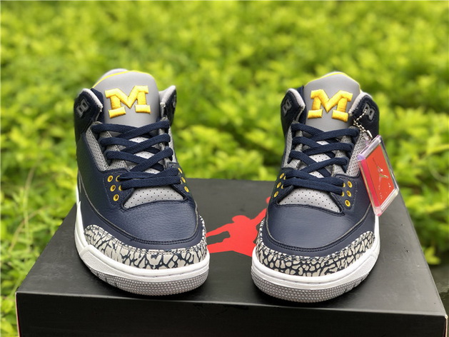 Air Jordan 3 Michigan PE