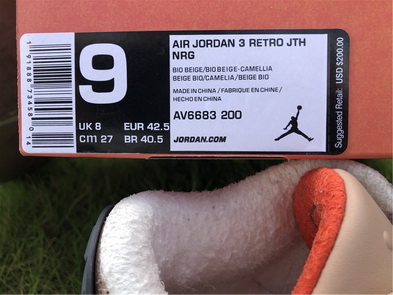 Air Jordan 3 JTH “Bio Beige”