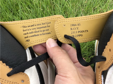 Air Jordan 1 “Rookie of the Year “