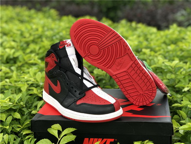 Air jordan 1 “Homage To Home” (women)