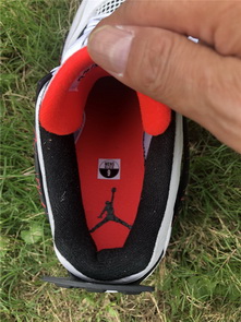 Air Jordan 4 “Pale Citron”