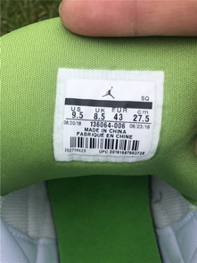 Air Jordan 3 “Chlorophyll”