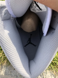 Air Jordan 1 White Cement