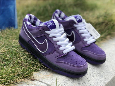 Nike Dunk SB(women)-001
