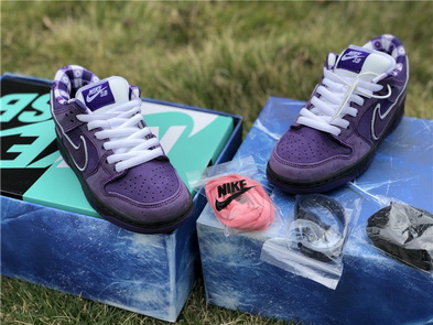 Nike Dunk SB(women)-001