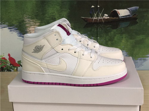 Air Jordan 1 Mid GS-023