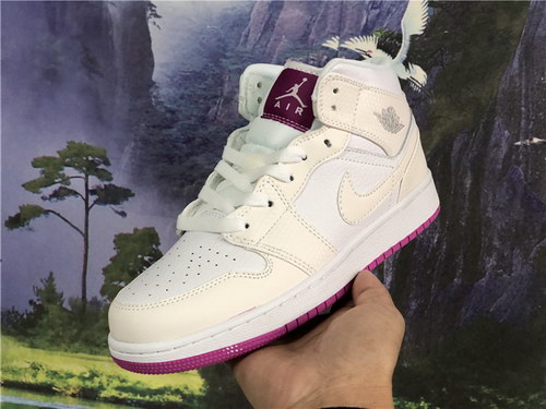 Air Jordan 1 Mid GS-023