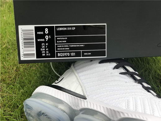 Authentci Lebron XVI LMTD EP-001
