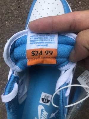 Nike SB x Air Jordan 1