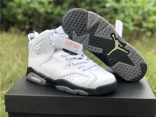 Air Jordan 6 GS “Alligator”