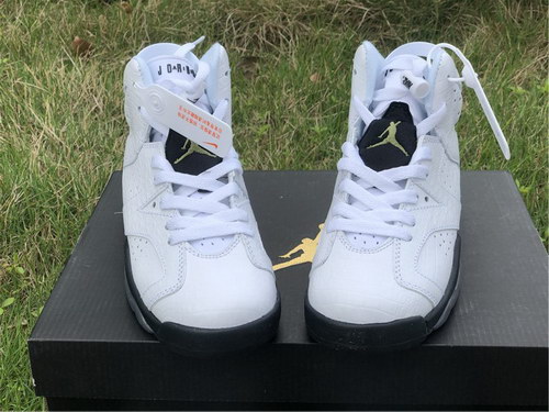 Air Jordan 6 GS “Alligator”