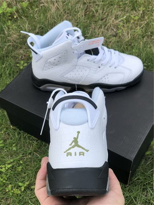 Air Jordan 6 GS “Alligator”