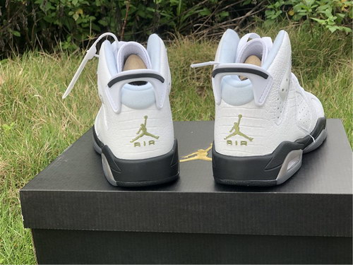 Air Jordan 6 GS “Alligator”