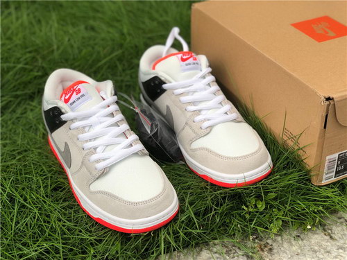 Nike Dunk SB Low Pro ISO