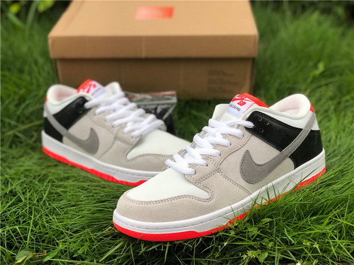 Nike Dunk SB Low Pro ISO