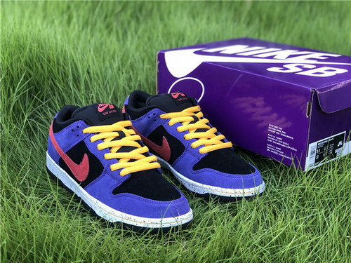 Nike SB Dunk Low “ACG”