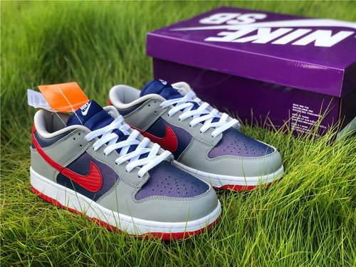 Nike Dunk Low “Samba”