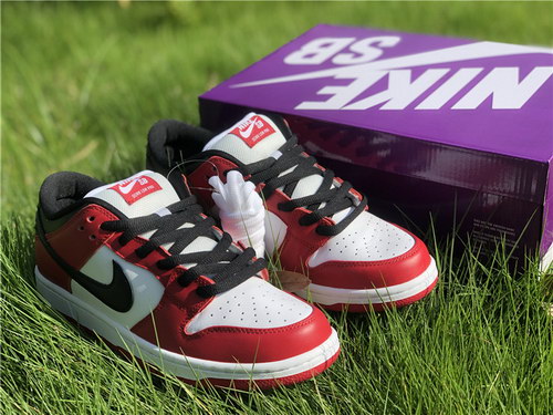 Nike Dunk SB Low “Chicago”