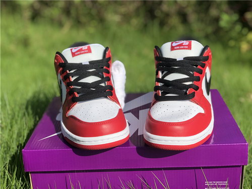 Nike Dunk SB Low “Chicago”
