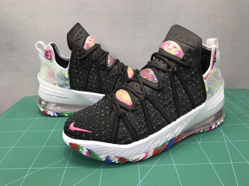 LeBron 18-012