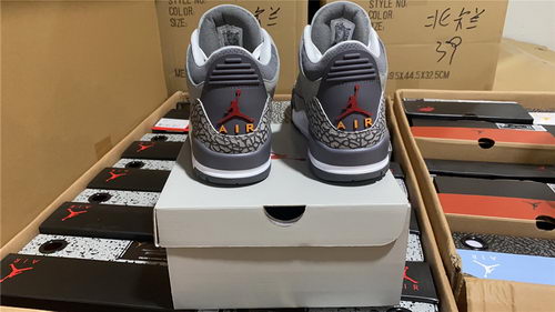 Air Jordan 3``Cool Gray