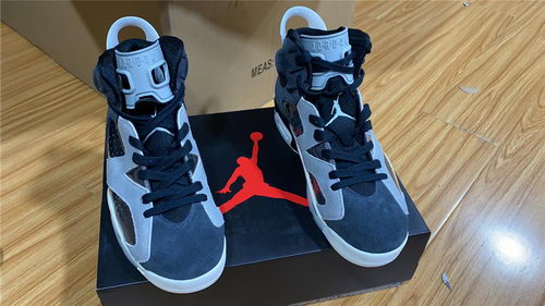 Air Jordan 6 WMNS Tech Chrome