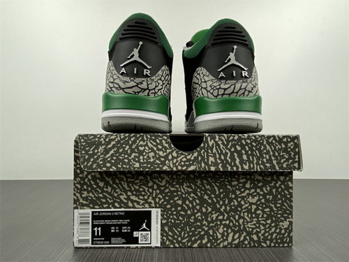 Air Jordan 3 “Pine Green”