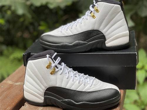 Air Jordan 12 playoffs