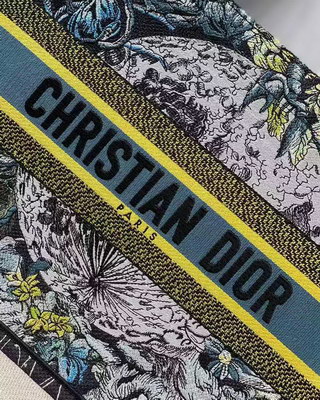 D*or handbags aaaa(women)-087