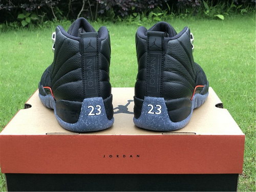 Air Jordan 12-020