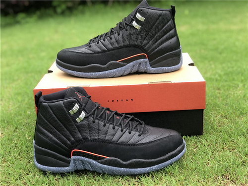 Air Jordan 12-020