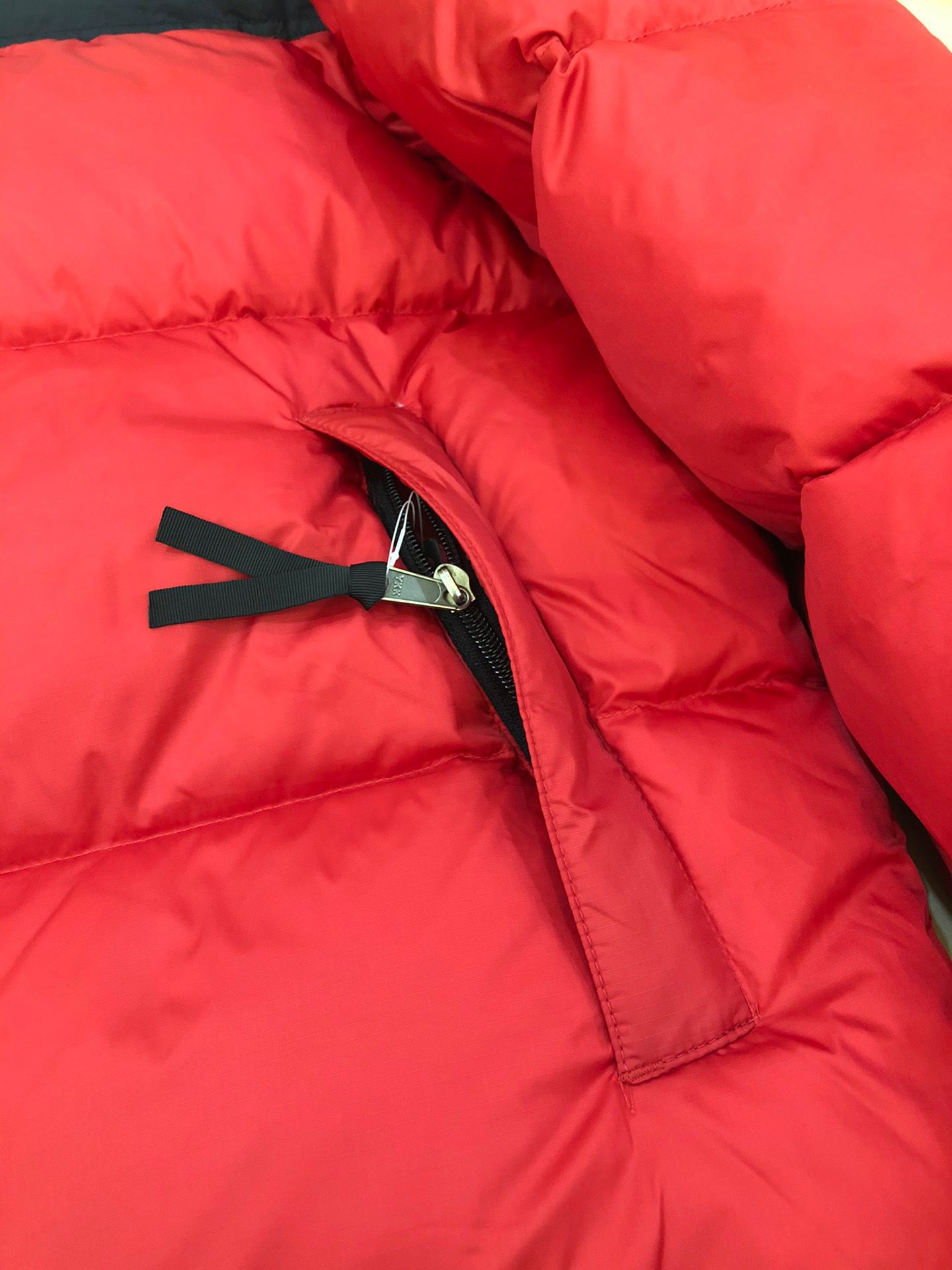 the n0*h F**e coat-031