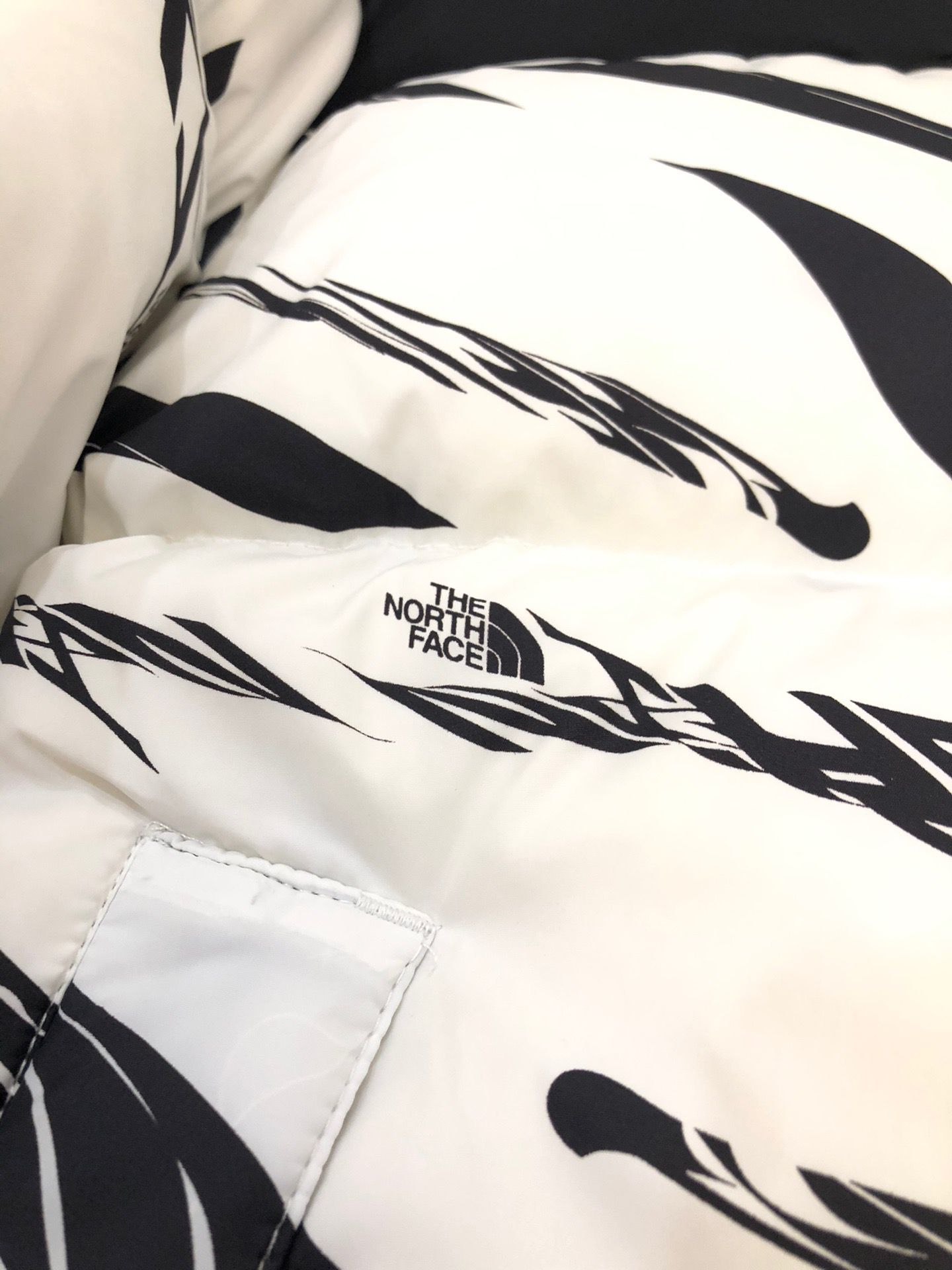 the n0*h F**e coat-035