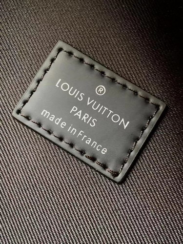 LV Backpack(AAAA)-053