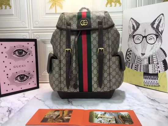 G*u*i backpack(aaa)-045