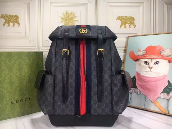 G*u*i backpack(aaa)-043
