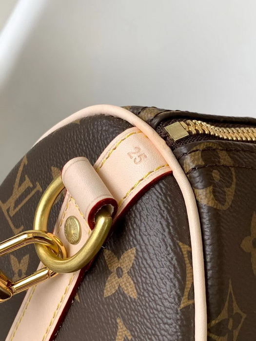 LV Handbags AAAA(Women)-195
