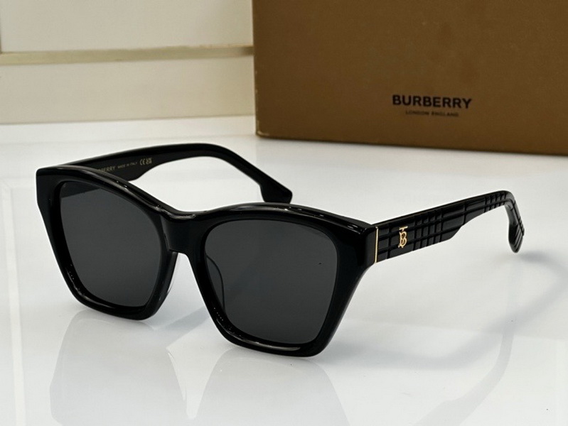 B**rry sunglasses(aaaa)-905