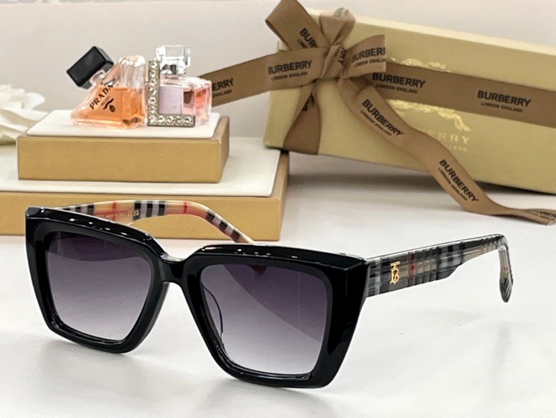 B**rry sunglasses(aaaa)-829