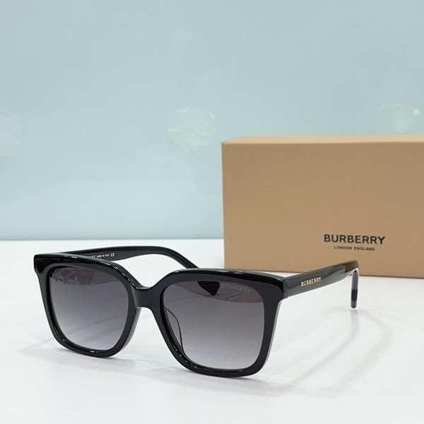 B**rry sunglasses(aaaa)-796